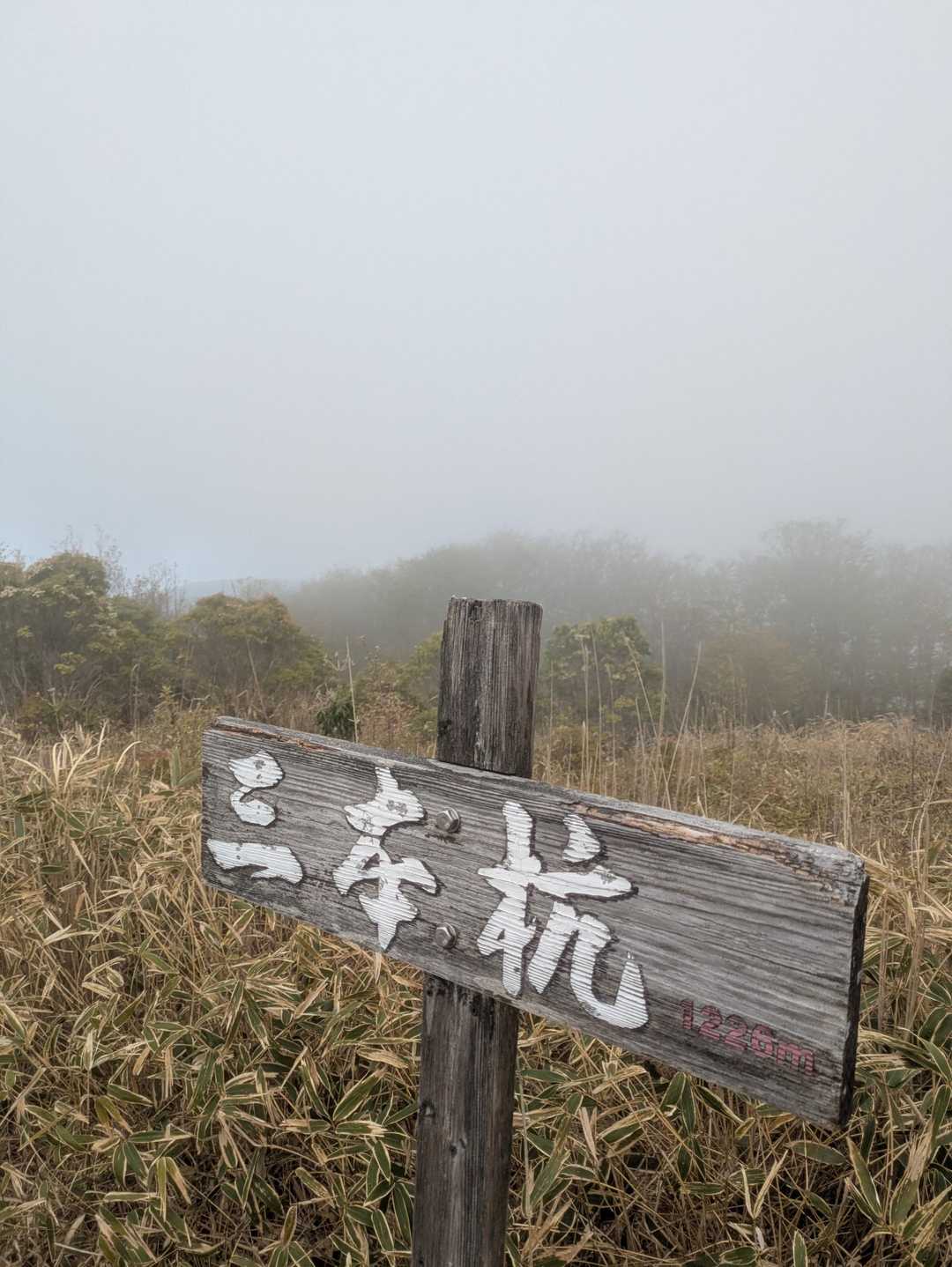 大久保山-八面山-三本杭 往復コースの写真