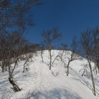 春霞の中の五頭ブルー･･･!