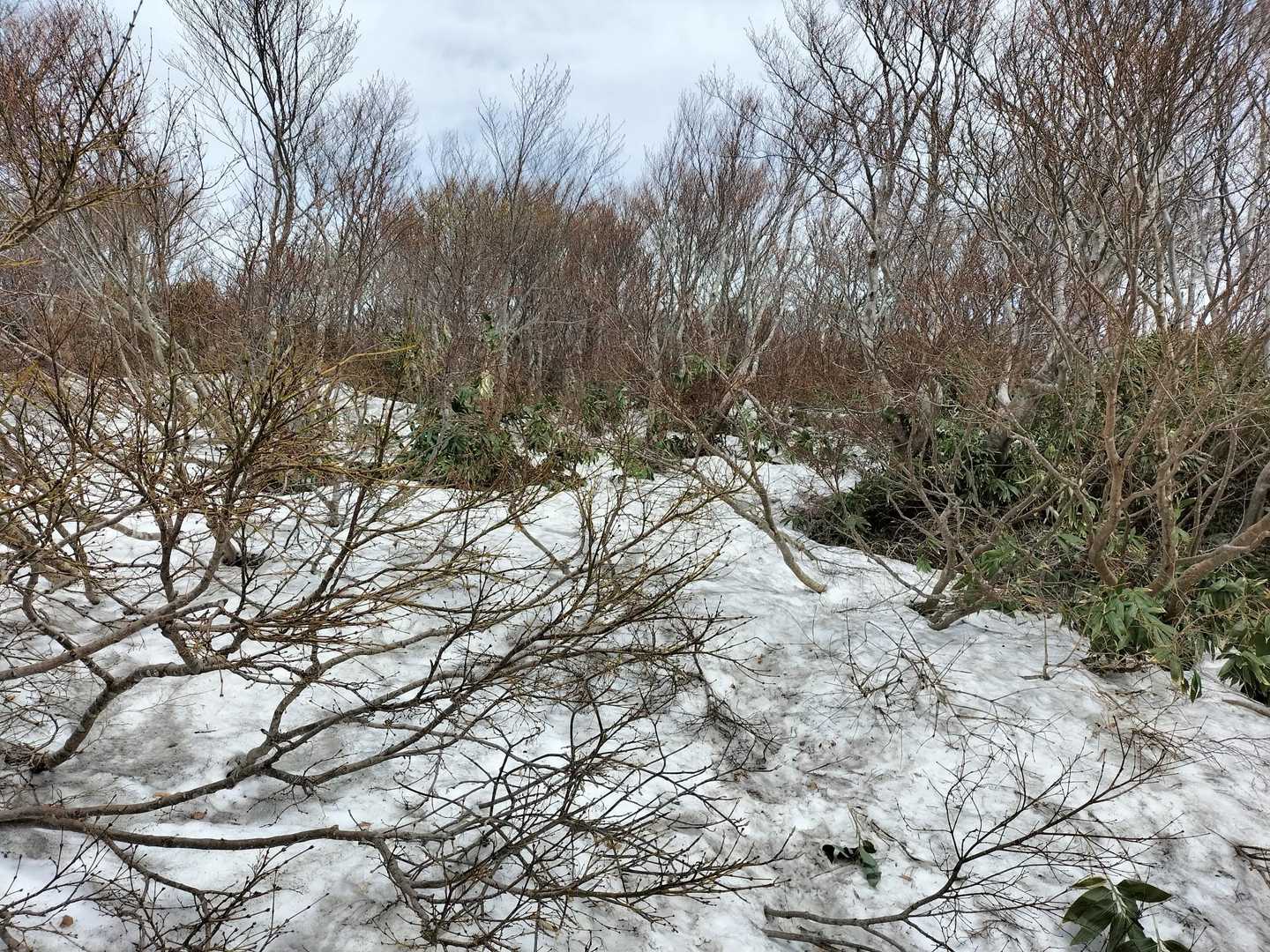 ルート上にも少し雪が残っています。