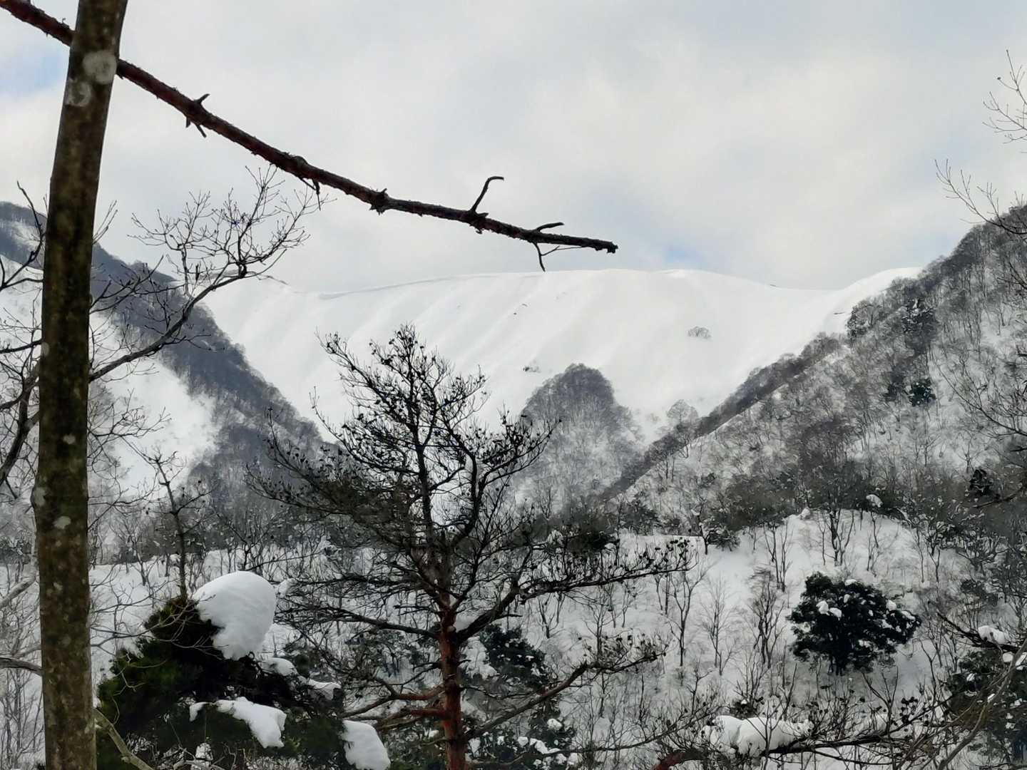 下山時に、寒風の稜線をチラッ👀
真っ白で美しい✨