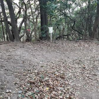 早足で登り続け、10数分で縦走路に復帰しました。