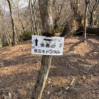 周回コースですね