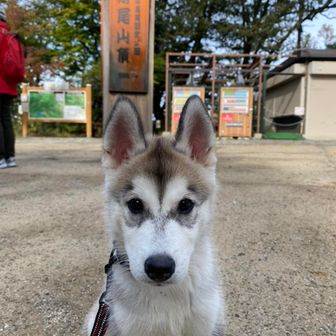 ささみぃ
