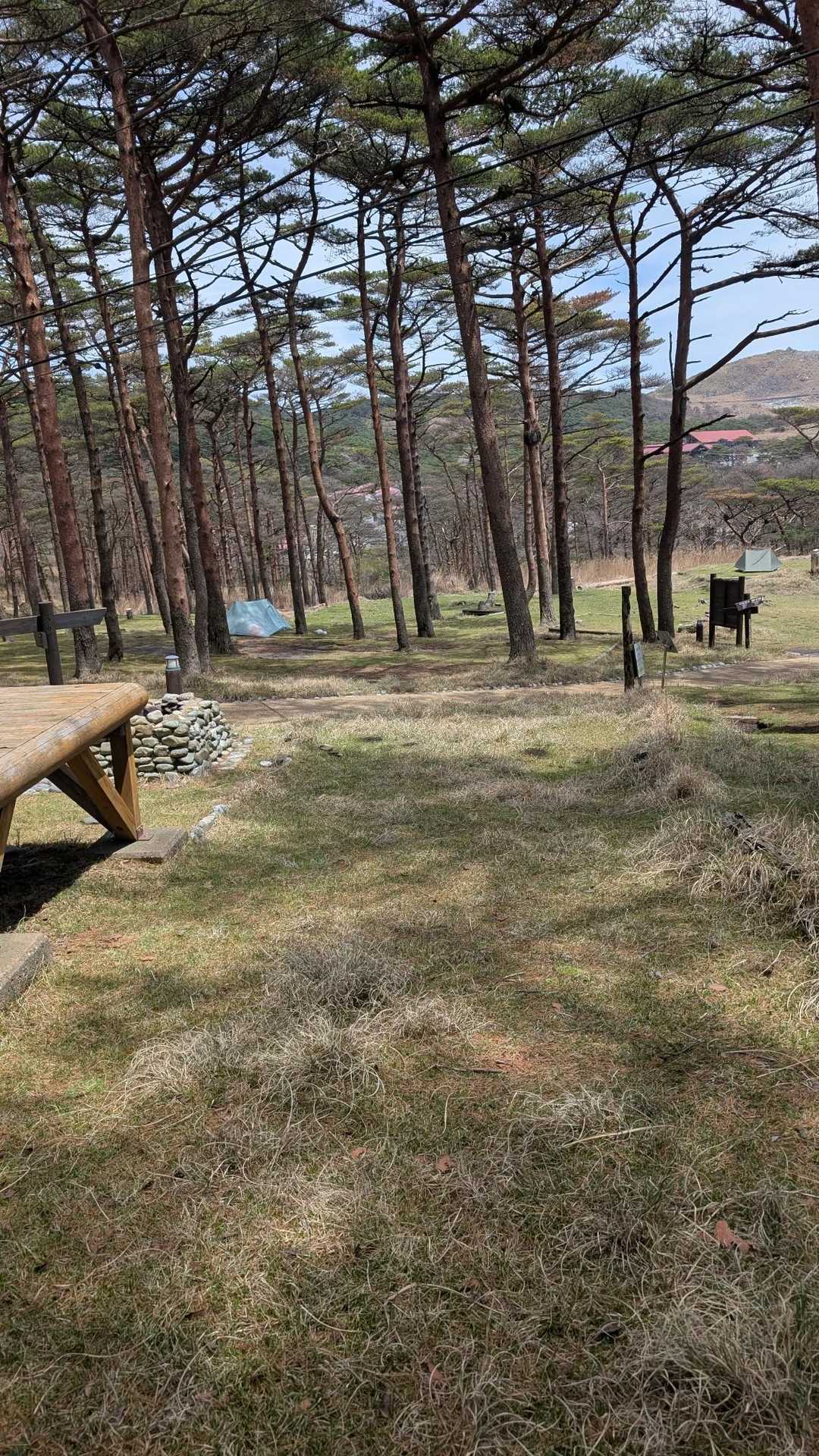 キャンプ村🏕️まで下りて来ました
