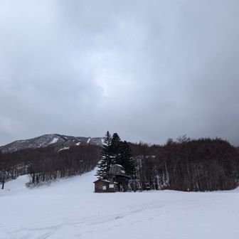 下りてきました
山頂方面は曇り空です☁