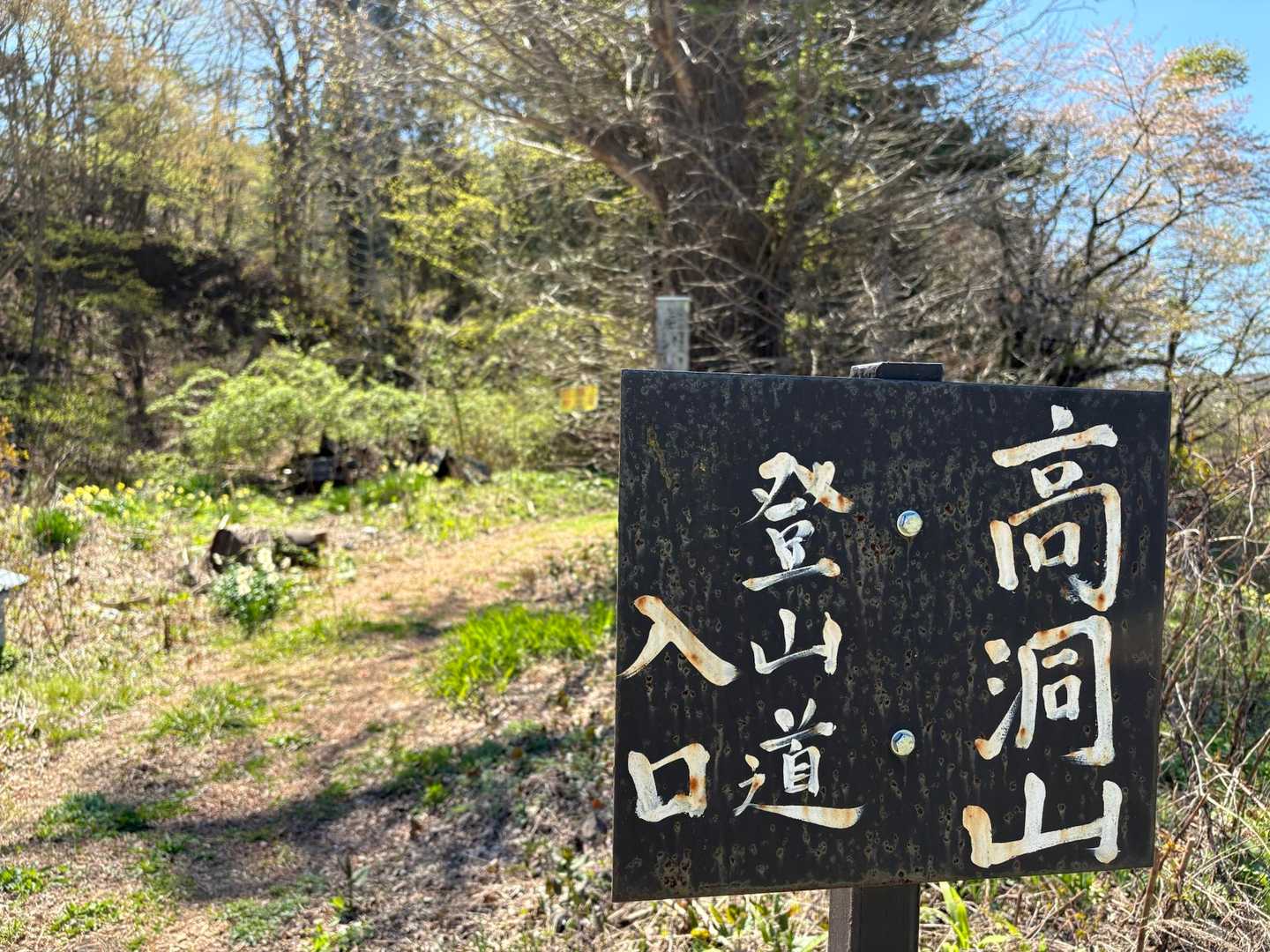 初めましての高洞山