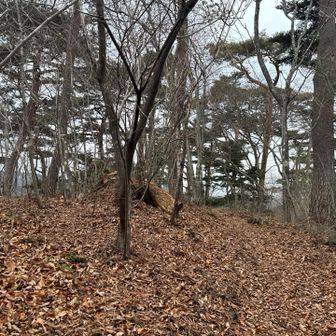 雁金森！
たぶん。
