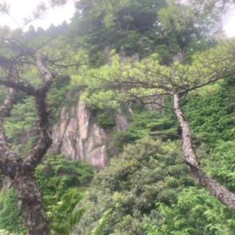 岩壁が見えました。