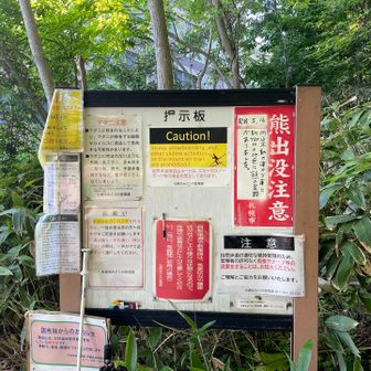 ひと月前に熊の足跡があったと💦
緊張しましたが何人か下りてくる登山者とすれ違って少し安心でした😮‍💨