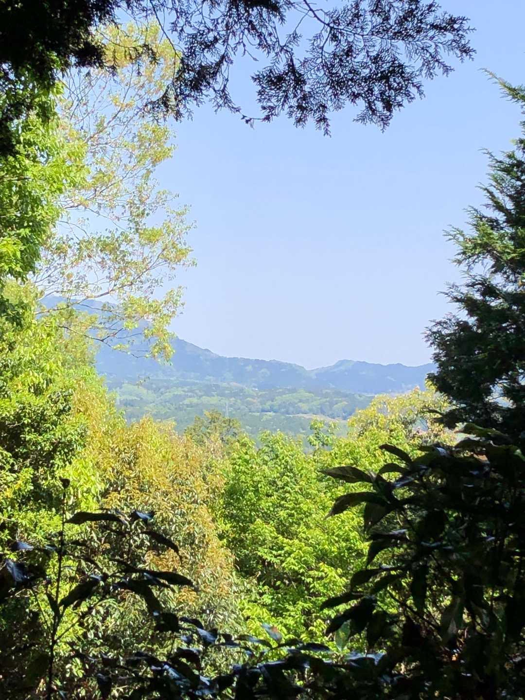 僅かな展望