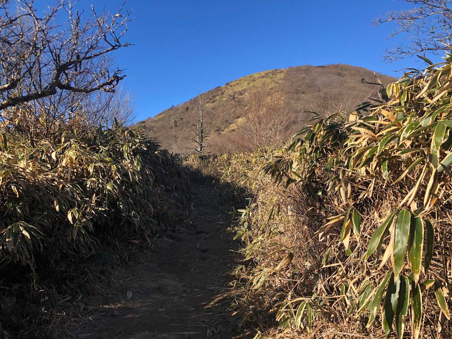 あのお山が竜ヶ岳