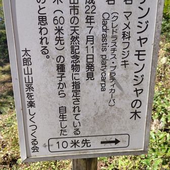 ﾁｮｯﾄ探したけどどれだかわかりませんでした。取り敢えず撮ったのは違ってたみたい。
(後日この写真見てて気づいたけど矢印逆じゃん…)