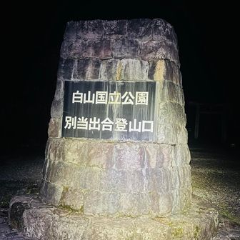 やっと本丸登山口まで歩いてきました。