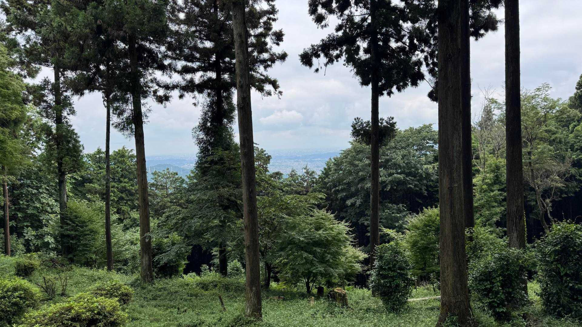 金比羅公園のベンチでお昼。曇っているけど街が見えて風が抜けて気持ちがいい。