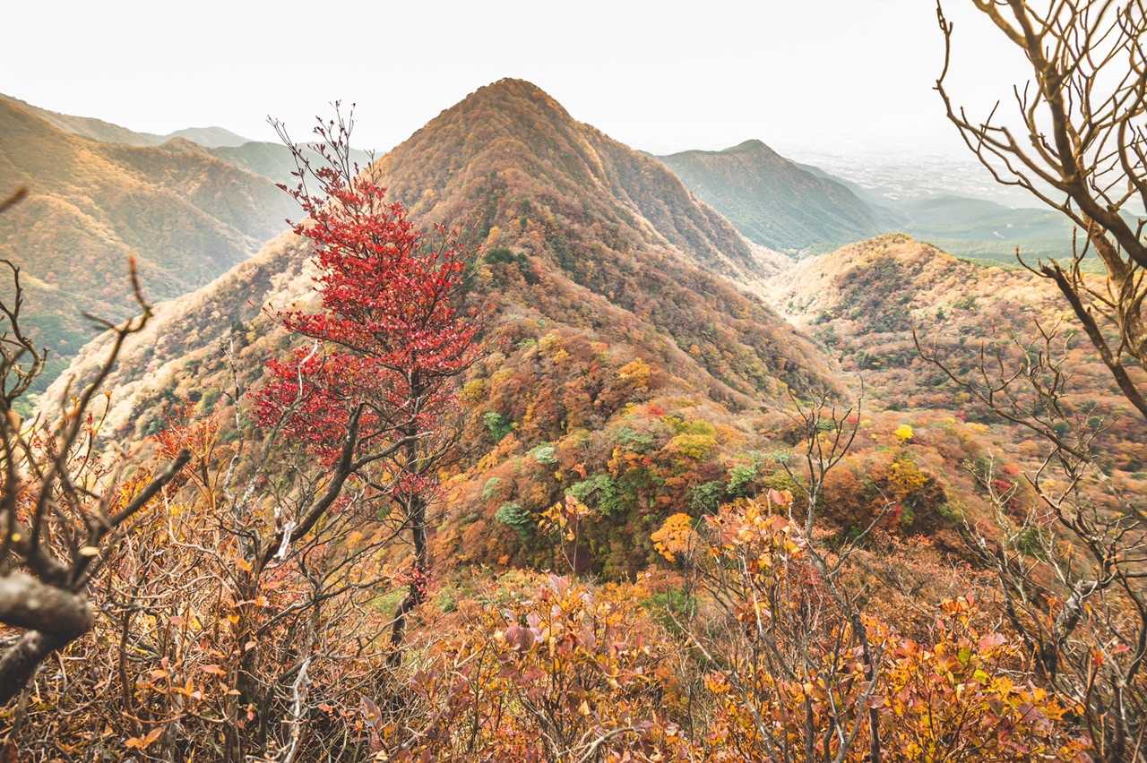 十里木高原バス停-越前岳-呼子岳 往復コースの写真