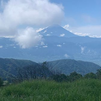 富士山見えた