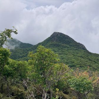 山頂からの景色、キレイです。