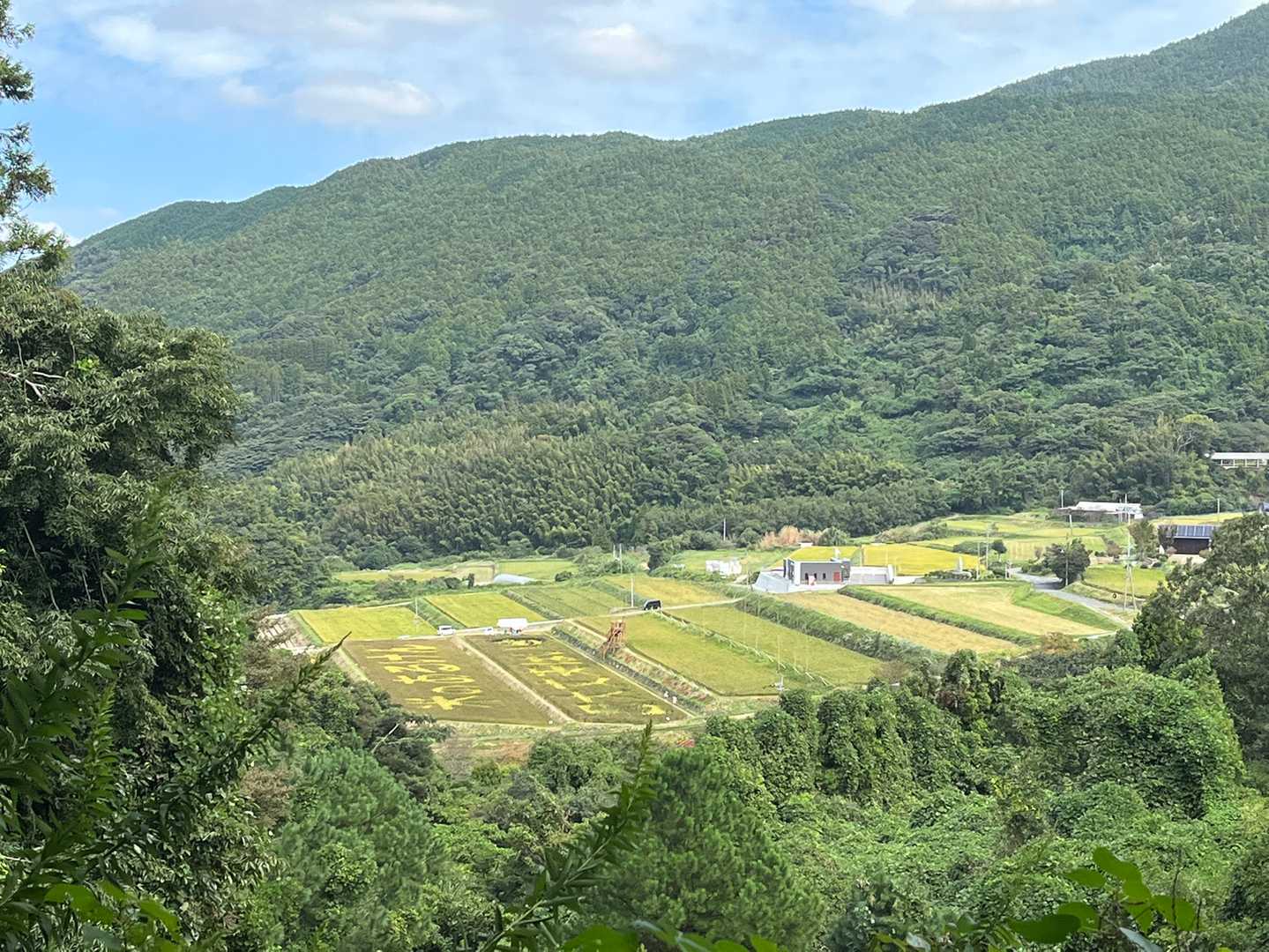 赤米アートが見えてきました。
「米のあるけん大丈夫ばい」
って田んぼにアートされてました。

わたしも、お米は大好き❤
今日も母のおにぎりを食べました。