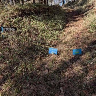 迂回らしいので従います