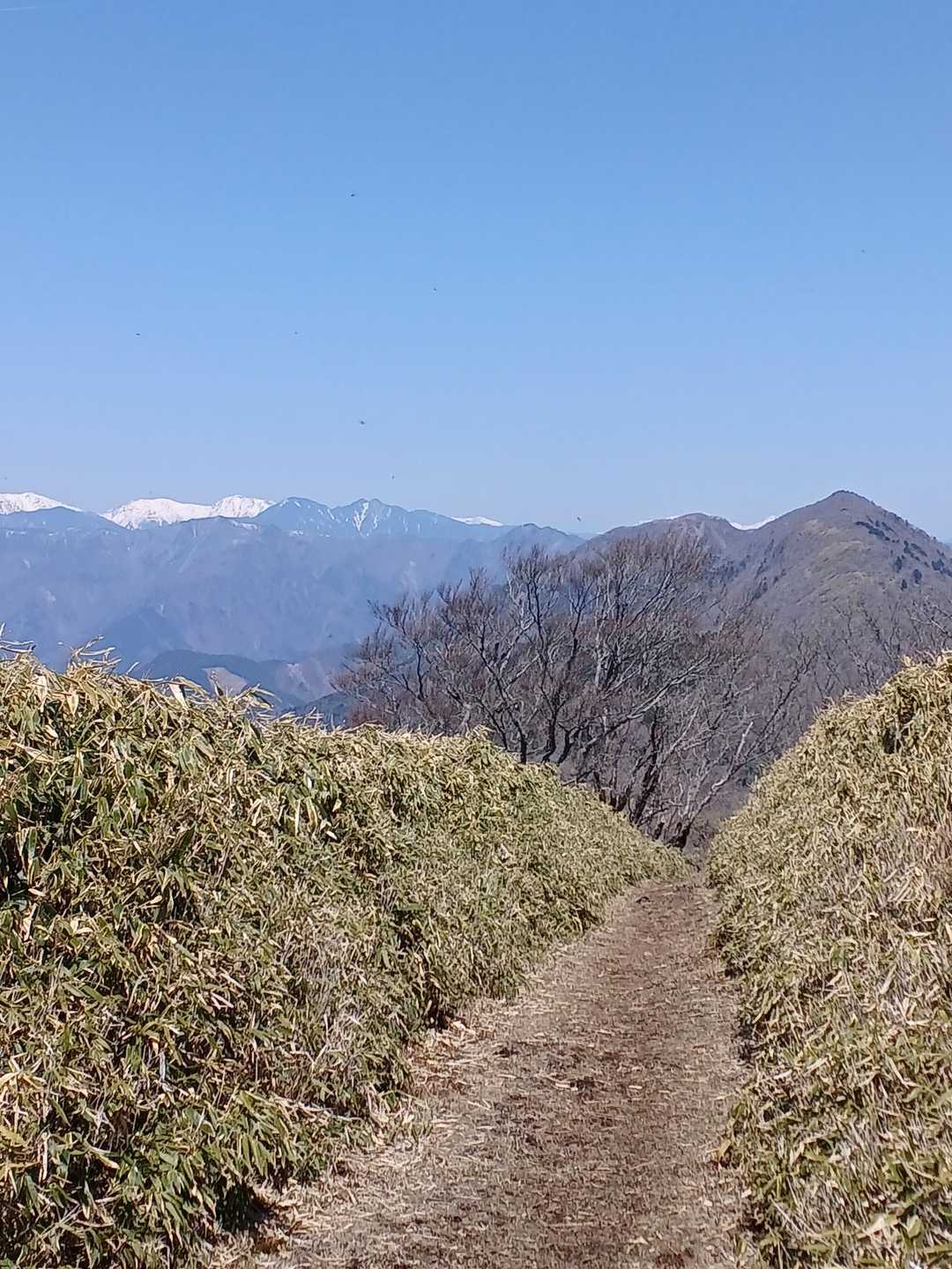 南アルプスと仏谷山　