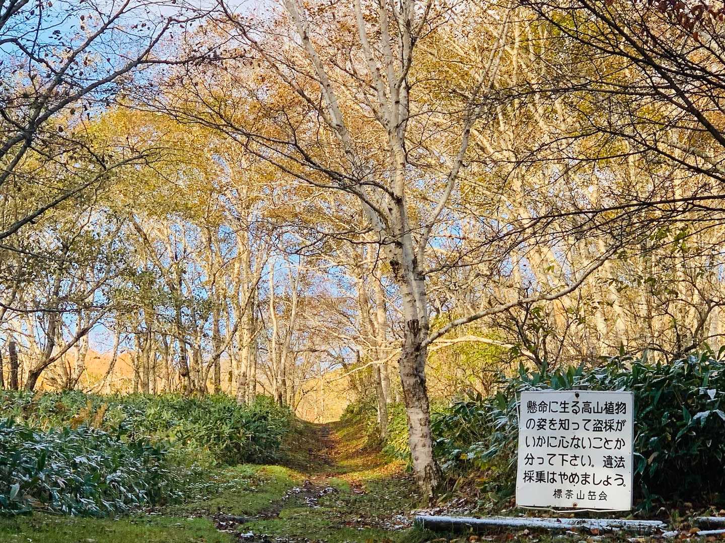良き