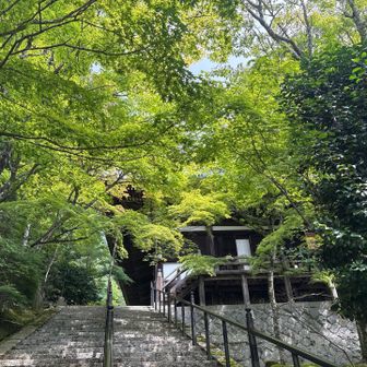 綺麗です📷