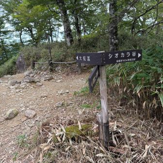 牛石ヶ原、分岐