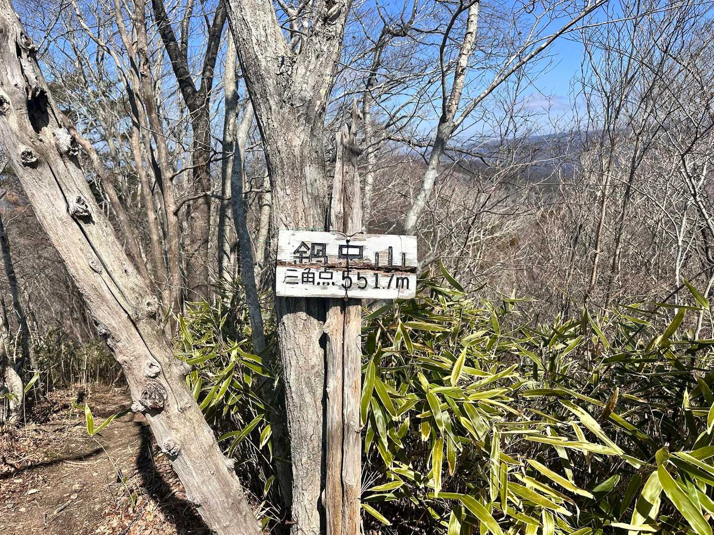 鍋足山三角点です
