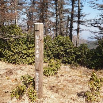 袖平山山頂　1431.9m