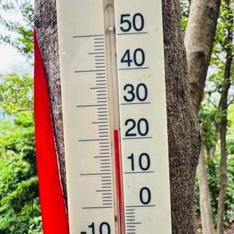 風も吹き抜けて、汗はかくけどちょうどいい気温