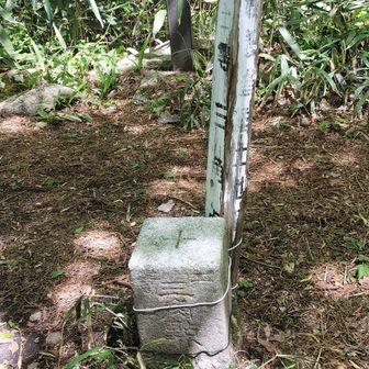 山頂２等三角点