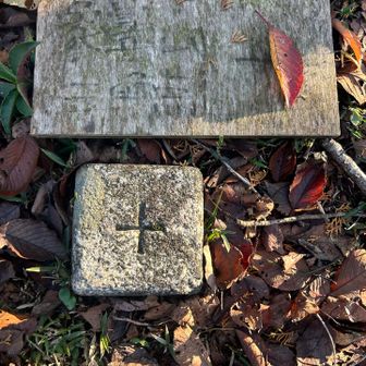 象鼻山山頂到着⛰️
看板🪧と三角点あります！