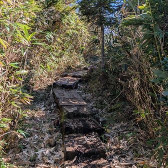 大日平山荘の裏手