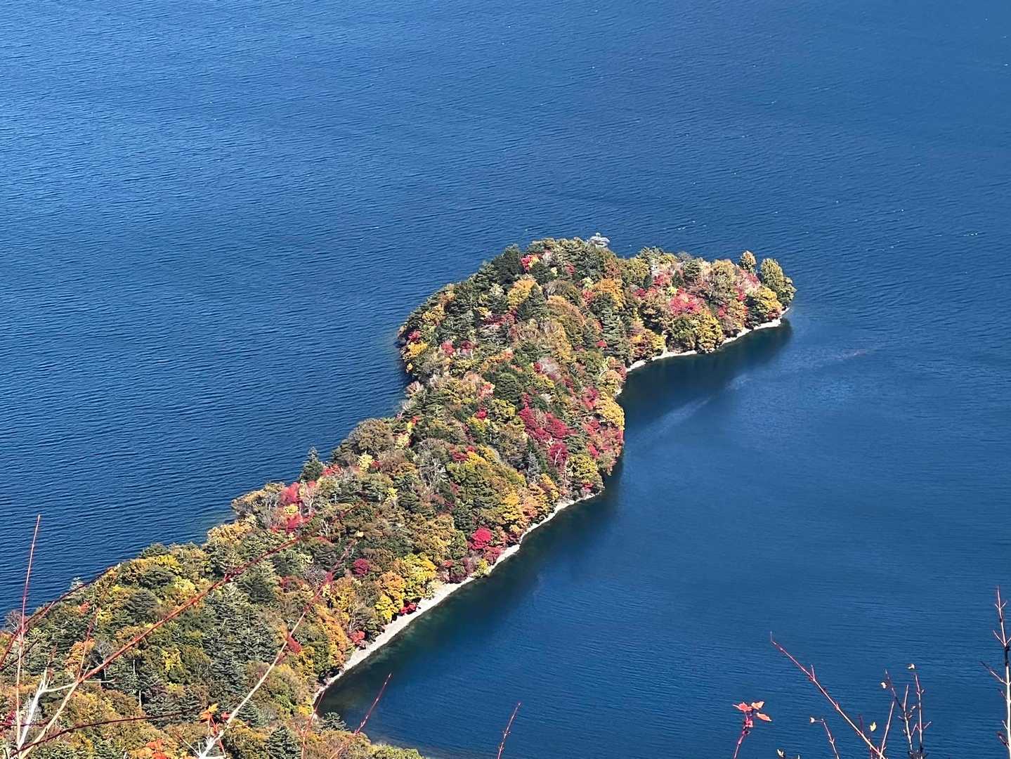 八丁出島の紅葉 半月山•社山 / Mackintoshの登山データ | YAMAP / ヤマップ
