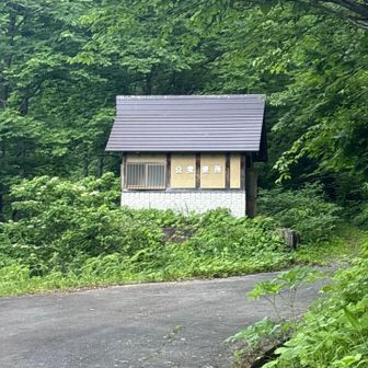公衆トイレ有り🚽