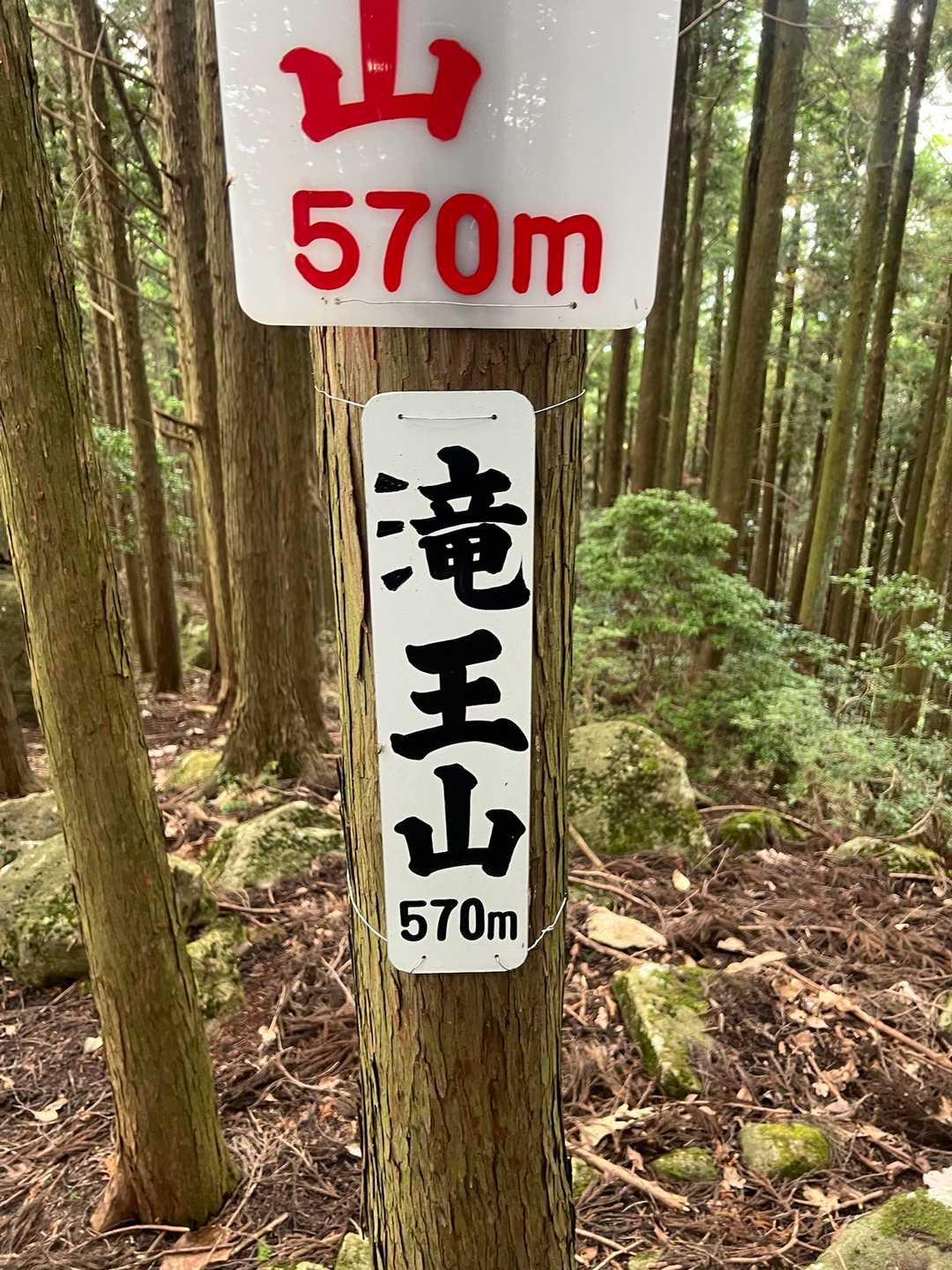 ゼフィルスの森入口-三草山-才ノ神峠-滝王山-牛の子峠-牛 縦走コースの写真
