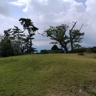 山頂は結構広かったです
