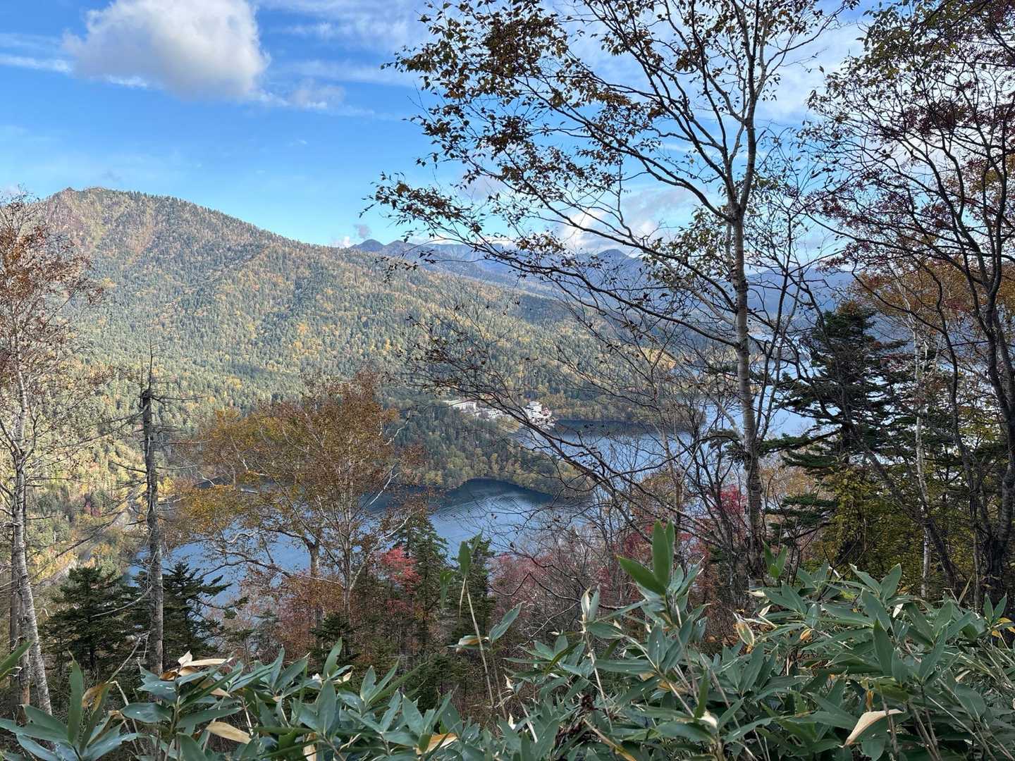 白雲山登山口-白雲山-天望山-天望山登山口 周回コースの写真