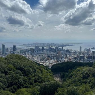市章山▲からの眺めは本日も良好也😊