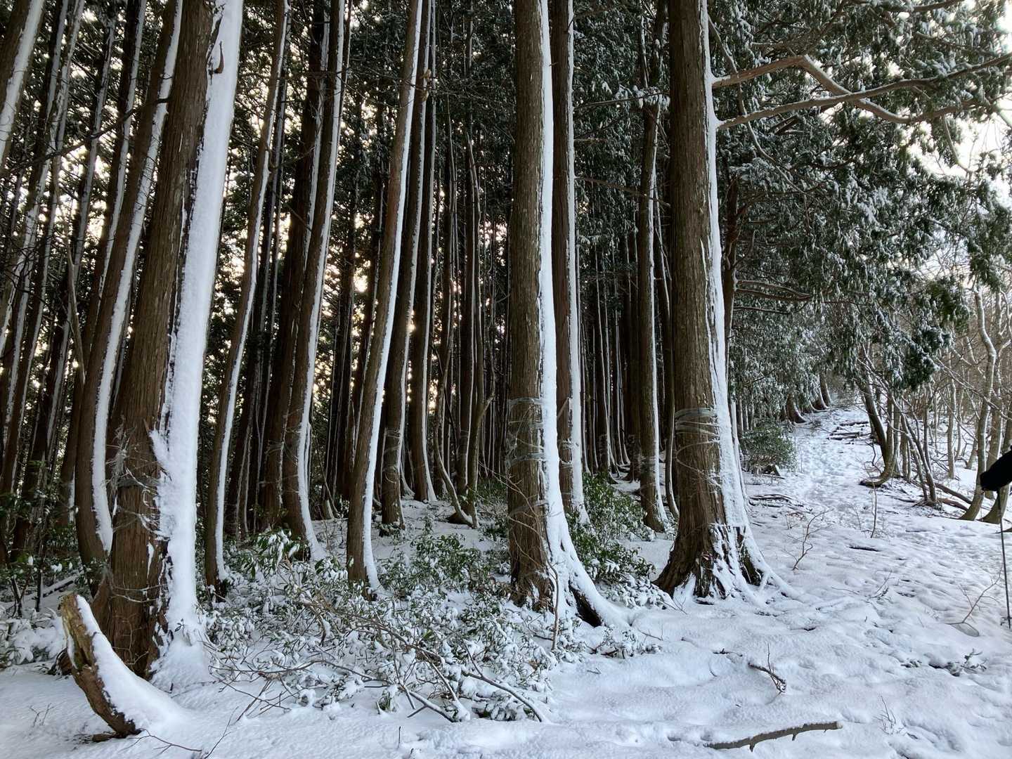雪山らしくなって来ました