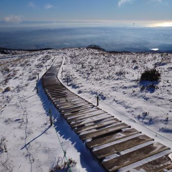 木道の雪は溶けてきてる