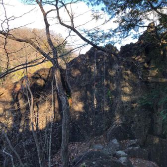 二つ目の梯子。