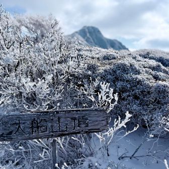 大船山、白い〜