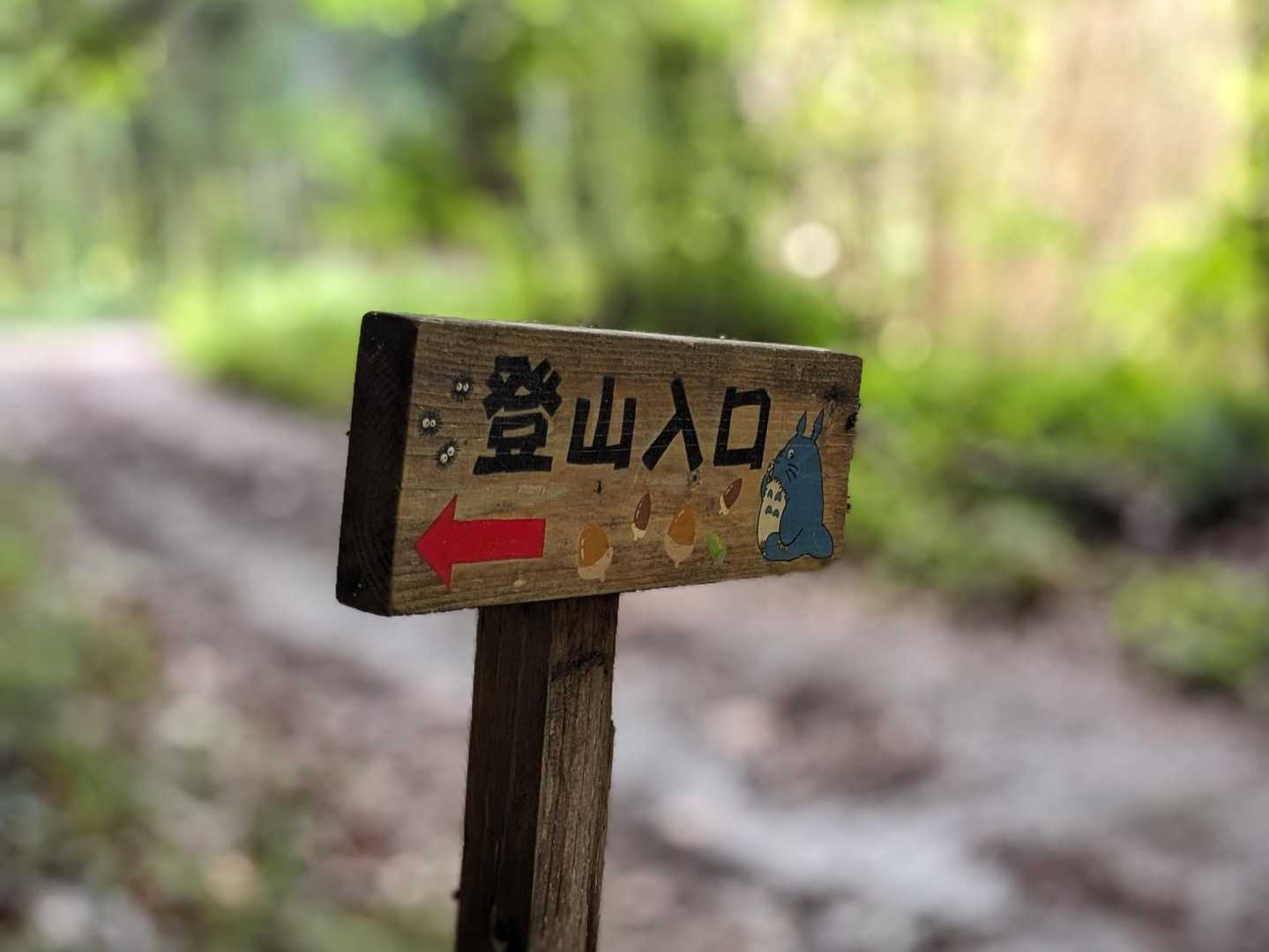 🪧🌰🐛トトロ
登山入口まで下りてきました

あとは舗装路を歩いて