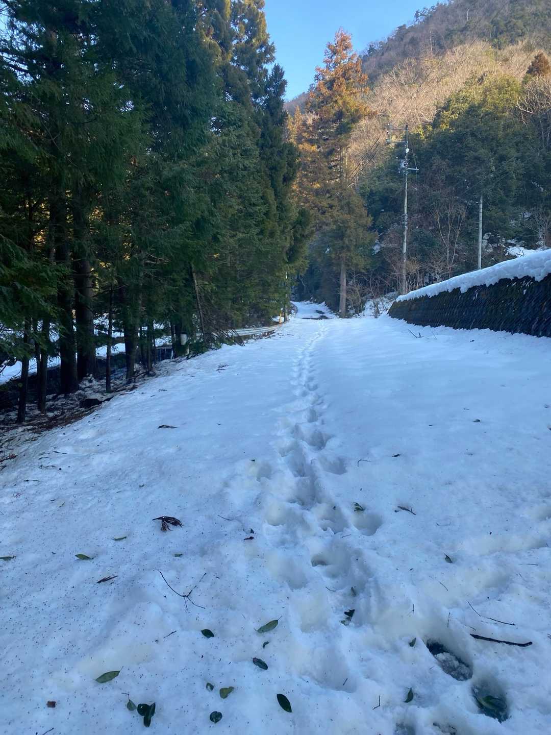 あれ？いきなり雪深いぞって事で車に戻ってチェンスパ装着🥾