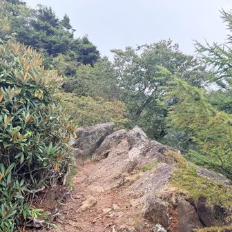 もう1つの笠取山頂上へ向かいます
