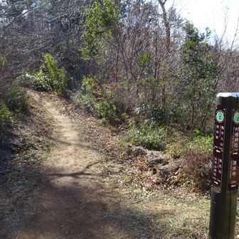 あと30〜40分かかるのかな？