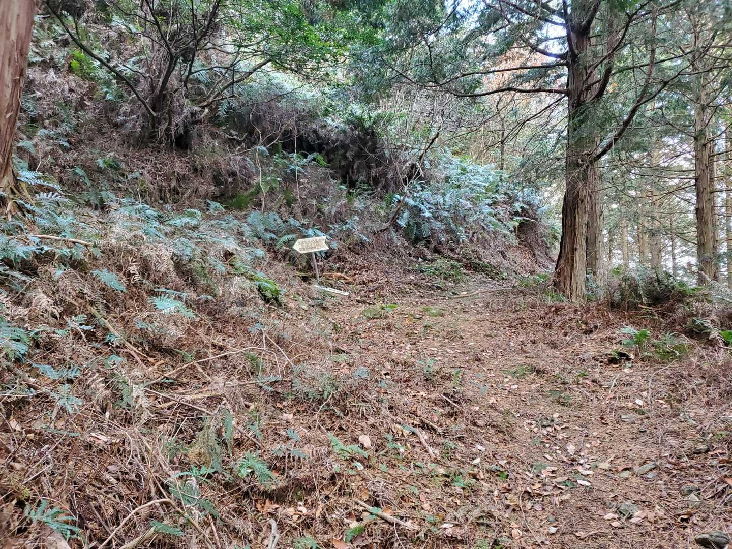 右に曲がり松尾城跡にある祠に行きます。