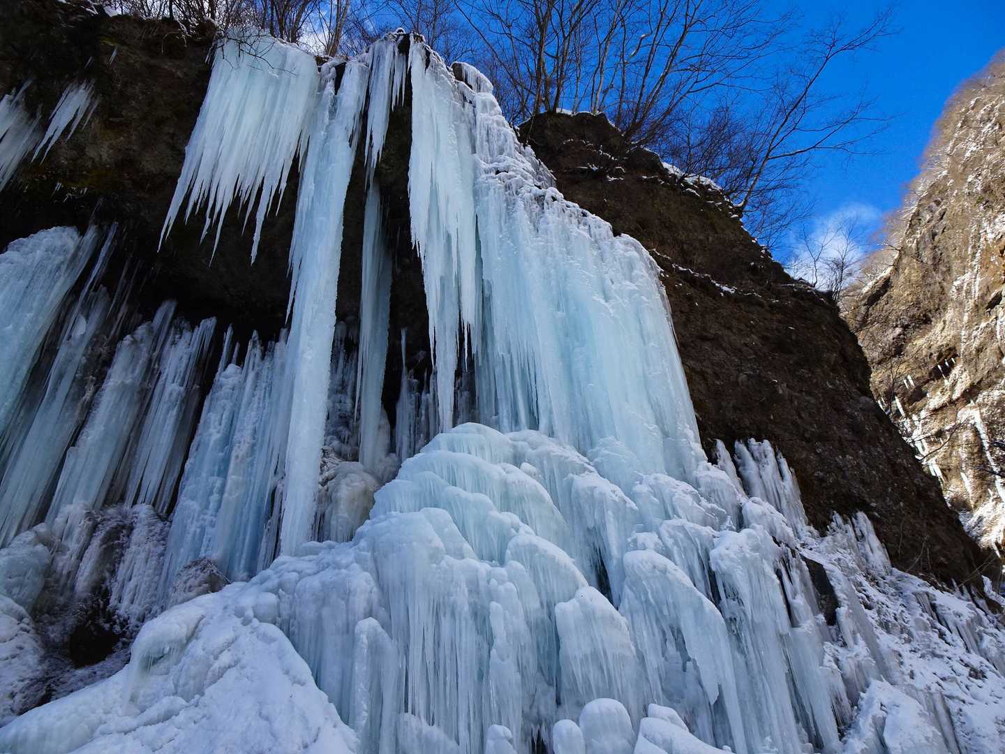 ひたすらに見惚れる、氷の彫刻