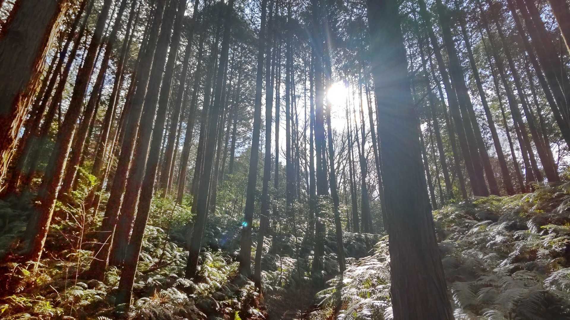 キラキラ☀️